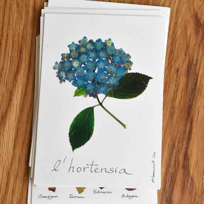 10 cartes postales Herbier avec des vraies fleurs pressées du jardin.