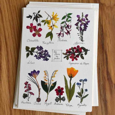 10 cartes postales Herbier avec des vraies fleurs pressées du jardin.