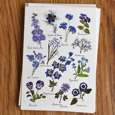 10 cartes postales Herbier avec des vraies fleurs pressées du jardin.