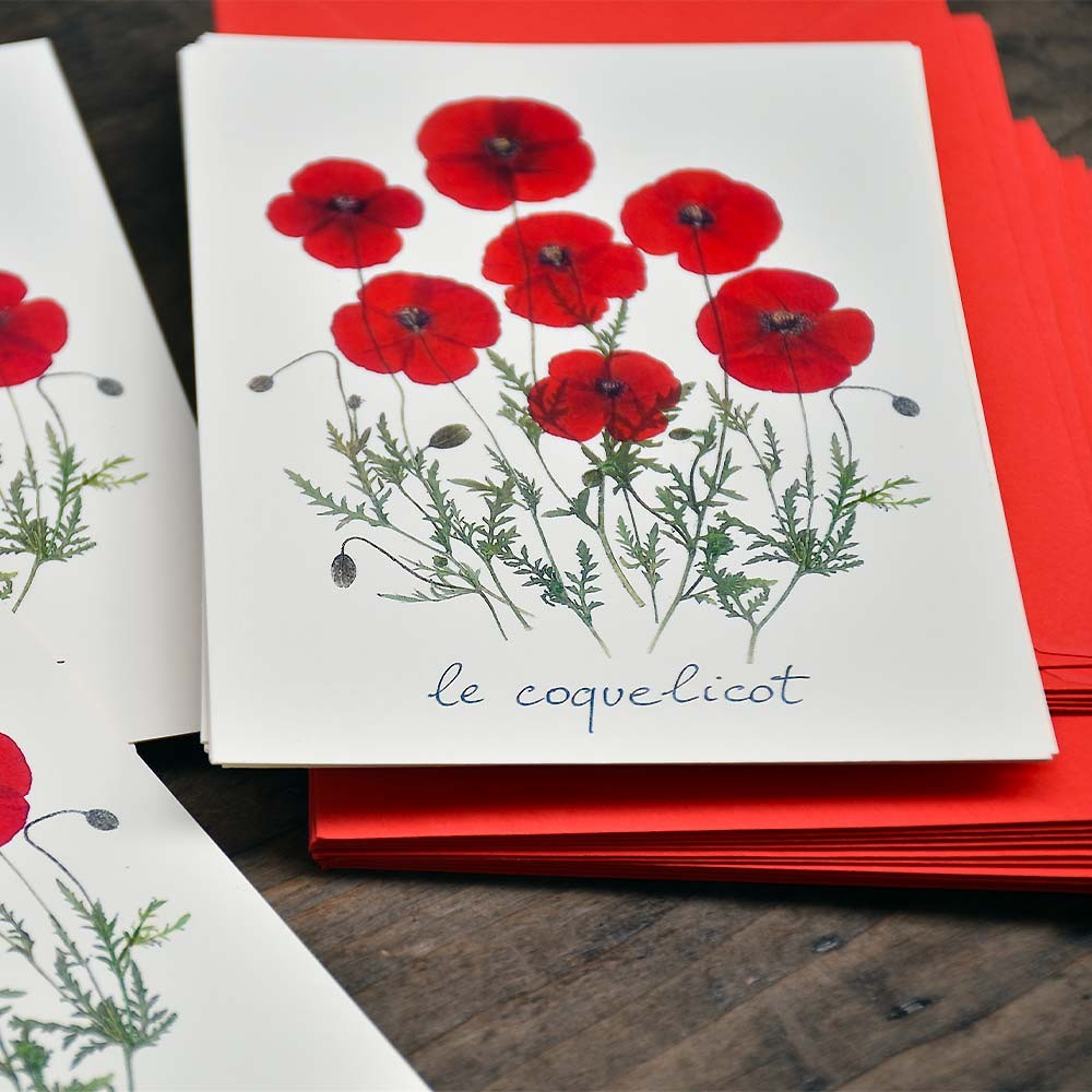 5 postcards edited with real garden flowers - Poppy postcards.