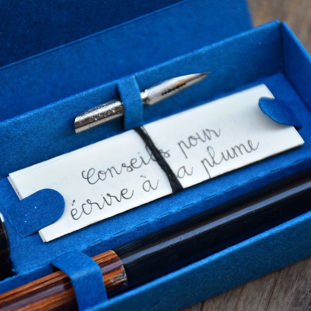 Essay dip 05 picture