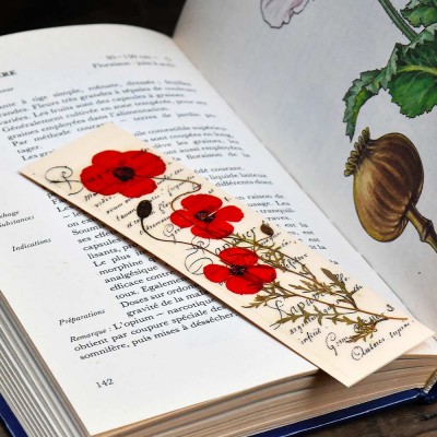 BOOKMARK SIGNET Marque-page Rose-des-vents 